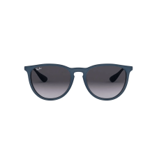 Lentes de Sol Ray-Ban Erika Woman Unico