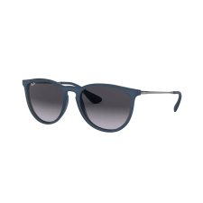 Lentes de Sol Ray-Ban Erika Woman Unico