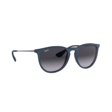 Lentes de Sol Ray-Ban Erika Woman Unico