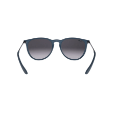 Lentes de Sol Ray-Ban Erika Woman Unico