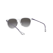 Lentes de Sol Ray-Ban Erika Redondo Transparente y Gris