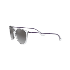 Lentes de Sol Ray-Ban Erika Redondo Transparente y Gris