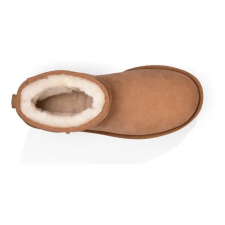 Botas Mujer Ugg Modelo Classic Mini 2 Marron