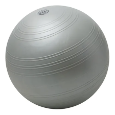 Pelota Esferodinamia 65cm / Ultra Resistente / Togu Alemania