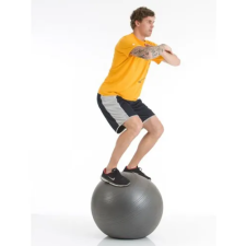 Pelota Esferodinamia 65cm / Ultra Resistente / Togu Alemania