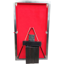 Pool Profesional Negro Gold